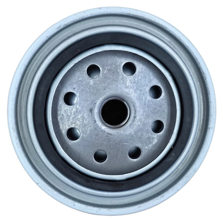 Filtr paliwa FS19504 , 1930581