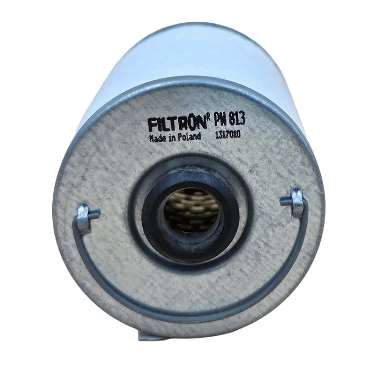 Wkład filtra paliwa Filtron PW813